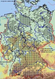Karte von Deutschland, die Vorkommen sind mit Rasterpunkten markiert und bedecken fast das ganze Bundesgebiet. 