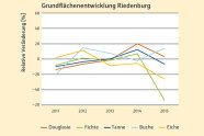 Veränderung der Grundflächenentwicklung der Baumarten Douglasie, Fichte, Tanne, Buche und Eiche. Weitere Informationen siehe Text.