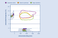 Klimahülle und klimatische Boxplots der Edelkastanie (Castanea sativa) im Vergleich zur Rotbuche (Fagus sylvatica) und zur Traubeneiche (Quercus petraea)