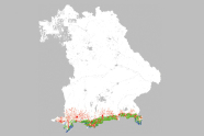 Mit einer Erwärmung um 2 Grad wird es auch weniger Bergmischwald geben