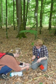 Eine junge Frau und ein junger Mann knien in einem Wald und werten eine Bodenprobe aus.