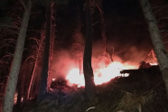 Brennender Wald bei Nacht