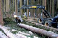 Harvester bewegt einen Baumstamm