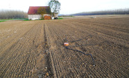 Acker mit dem Messgeraät Saugkerzenplot, im Hintergrund sind Kurzumtriebsplantagen