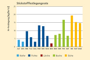 Balkendiagramm mit Stickstofffestlegungsrate für Kiefer, Fichte, Lärche, Buche und Eiche an verschiedenen Klimastationen