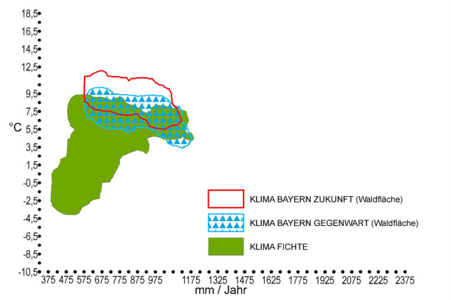 Klimahülle der Fichte (Picea abies) in Bayern. Auf der X-Achse ist der durchschnittliche Jahresniederschlag in mm, auf der Y-Achse die Jahresdurchschnittstemperatur in °C zu finden. Das zukünftige trockenere und wärmere Klima Bayerns ist rot markiert. Das für die Fichte optimale Klima, welches als grüne Fläche eingezeichnet ist, deckt sich nur in Teilen mit dem künftigen Klima in Bayern. Der gegenwärtige Klimabereich Bayerns ist blau umrandet und mit blauen Dreiecken schraffiert und deckt sich in großen Teilen mit dem Fichtenoptimum.
