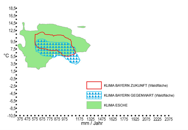 Klimahülle - Esche (Fraxinus excelsior)