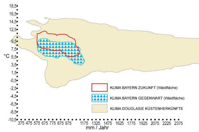 Klimahülle der Douglasie (Pseudotsuga menziesii)  - Küstenherkünfte - in Bayern. Auf der X-Achse ist der durchschnittliche Jahresniederschlag in mm, auf der Y-Achse die Jahresdurchschnittstemperatur in °C zu finden. Das zukünftige trockenere und wärmere Klima Bayerns ist rot markiert. Das für die Douglasie optimale Klima, welches als oliv-grüne Fläche eingezeichnet ist, deckt sich komplett mit dem künftigen Klima in Bayern. Der gegenwärtige Klimabereich Bayerns ist blau umrandet und mit blauen Dreiecken schraffiert und deckt sich mit dem Douglasienoptimum.