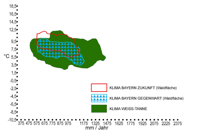 Klimahülle der Weißtanne (Abies alba) in Bayern. Auf der X-Achse ist der durchschnittliche Jahresniederschlag in mm, auf der Y-Achse die Jahresdurchschnittstemperatur in °C zu finden. Das zukünftige trockenere und wärmere Klima Bayerns ist rot markiert. Das für die Tanne optimale Klima, welches als grüne Fläche eingezeichnet ist, deckt sich größtenteils mit dem künftigen Klima in Bayern. Der gegenwärtige Klimabereich Bayerns ist blau umrandet und mit blauen Dreiecken schraffiert und deckt sich komplett mit dem Tannenoptimum.