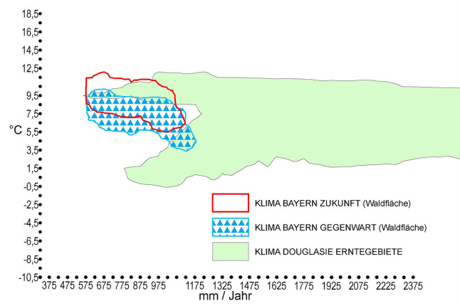 Klimahülle der Douglasie (Pseudotsuga menziesii) - Erntegebiete - in Bayern. Auf der X-Achse ist der durchschnittliche Jahresniederschlag in mm, auf der Y-Achse die Jahresdurchschnittstemperatur in °C zu finden. Das zukünftige trockenere und wärmere Klima Bayerns ist rot markiert. Das für die Douglasie optimale Klima, welches als oliv-grüne Fläche eingezeichnet ist, deckt sich in großen Teilen mit dem künftigen Klima in Bayern. Der gegenwärtige Klimabereich Bayerns ist blau umrandet und mit blauen Dreiecken schraffiert und deckt sich mit dem Douglasienoptimum.