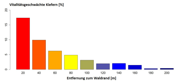 Balkendiagramm zu Kiefernschäden. Je näher am Waldrand, desto größer die Schäden.