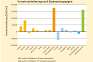 Säulendiagramm zeigt die Vorratsveränderung nach Baumartengruppen seit der letzten BWI.