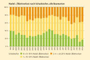 Säulendiagramm zeigt den zeitlichen Vergleich der Anteile aller Baumarten in den Schadstufen.