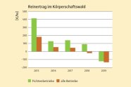 Balkendiagramm mit fünf Gruppen mit je zwei Balken. Ganz links hoher grüner Balken, halb so hoher roter Balken. Rechts beide Balken klein aber im Minus