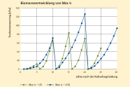 Liniendiagramm zeigt die Biomasseentwicklung der Balsampappelsorte Max 4 im fünf- und zehnjährigen Umtrieb auf der Versuchs­fläche Wöllershof in der Oberpfalz.