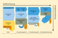 Grafik die die stoffliche Nutzung und Wiedernutzung von Holz zeigt, unterteilt in vier Stufen