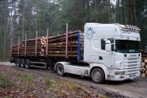 Ein LKW mit Anhängern steht mit Rundholz beladen im Wald