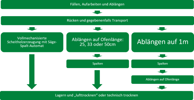 Schematische Darstellung der Arbeitsschritte vom Fällen bis zum Lagern des Holzes