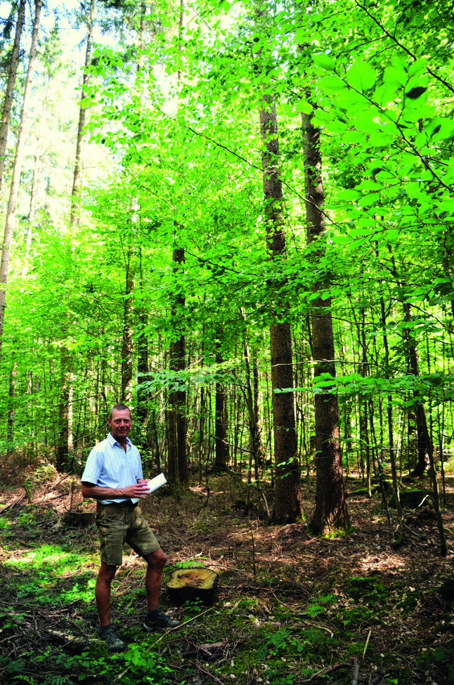 Foto eines Mannes im Wald