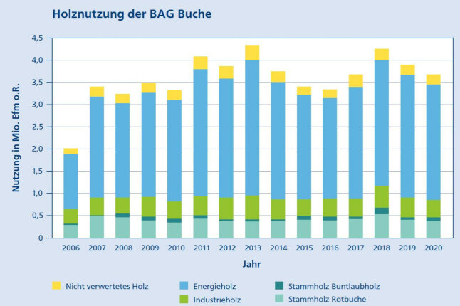 Säulendiagramm zeigt Holznutzung zwischen 2006 und 2020