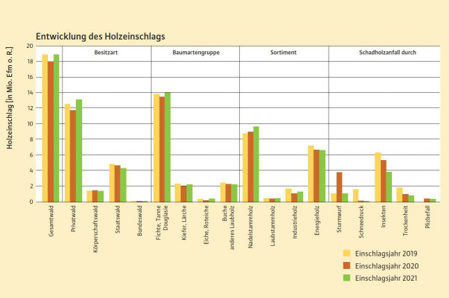 Menge des geschlagenen Holzes in Balkendiagrammen jeweils für die Jahre 2019 bis 2021