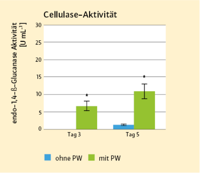 Grafik mit Boxplotts zur Cellulase Aktivität blau ohne Presswasser, grün mit Presswasser