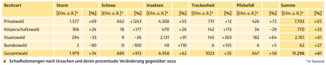 Die Grafik zeigt die Schadholzmengen nach Ursachen und deren prozentuale Veränderung gegenüber 2022.