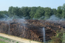 Grosses Polter mit Hunderten beregneten Holzstämmen.