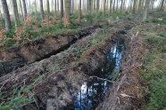 Tiefe Furchen, die mit Wasser gefüllt sind: ehemalige Rückegasse