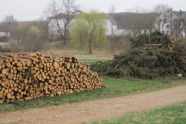 Holzpolter und Polter mit Nadelholzkronenmaterial liegen nebeneinander.