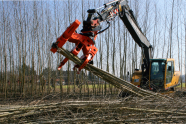 Ein Harvester hebt ein Bündel gefällter Baumstämme mit einem großen Fäller-Bündler-Aggregat hoch.