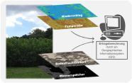 Links Foto einer grünen Kurzumtriebsplantage, mittig Kartenausschnitte zu Niederschlag, Temperatur, Bodenfruchtbarkeit und Wasserspeicher, rechts Schema eines Computers für Ertragsberechnung durch ein Geografisches Informationssystem (GIS). 