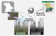 Grafische Darstellung der Vorgehensweise. Von links nach rechts: Lage der Praxisflächen als Punkte auf einer Bayernkarte. Foto der motormanuellen Pappelernte. Mittig zwei Fotos einer KUP für gemessene und modellierte Zuwachswerte. Der Vergleich ergibt die regionale Anpassung des Modells und eine Ertragskarte. 