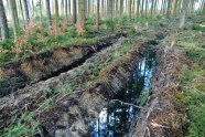 Gleisbildung mit aufgestautem Wasser auf einer Rückegasse.