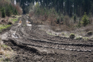 Ein von Furchen und Reifen- bzw. Kettenabdrücken durchzogenes Matschfeld im Wald