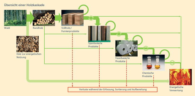 Grafik zur Holzkaskade: Rohholz aus dem Wald wird zunächst zu verschiedenen Holzpordukten (Vollholz-, Furnier-, Spanbasierte, Faserbasierte oder chemische Produkte) verarbeitet und geht zuletzt in die energetische Nutzung über.