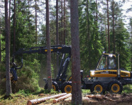 Harvester_Ponsse_Ergo Achtradmaschine bei der Holzernte