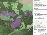 Das Bild zeigt ein Luftbild einer Landschaft mit Wald und Offenland. Die geplanten Erhaltungsmaßnahmen in der Landschaft sind farblich unterschiedlichlich: Waldbauliche Maßnahmen sind grün, Moorpflege ist lila und Gewässerpflege blau gefärbt.