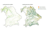 Bayernkarten, die die Veränderung von Laub- und Nadelwäldern zwischen 2019 und 2020 zeigen