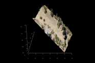 3D-Modell zum Messen von Baumhöhen