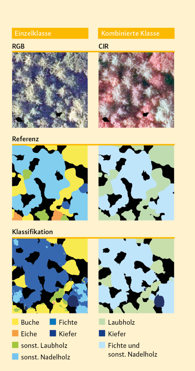 Bilder von unterschiedlichen Eingangsdatensätzen zur Verbesserung des DL-Modells.