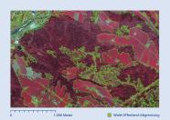 Grafisch bearbeitetes 3D-Luftbild. "Boden" wird weiß, "Fichte" dunkelgrün, "Tanne" hellgrün, "Laubholz" gelb, "Keine Belaubung" grau und Schatten schwarz dargestellt.