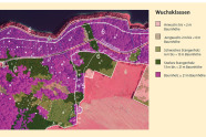 Luftbild mit nachträglich eingezeichneten Wuchsklassengebieten