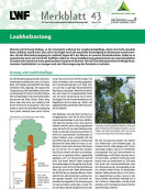 Titel Merkblatt 43 Laubholzastung