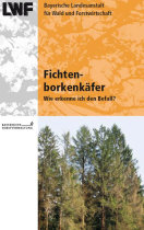 Titel Faltblatt Fichtenborkenkäfer