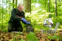 Mitarbeiter kniet am Waldboden und schaufelt Erde in einen Messbehälter