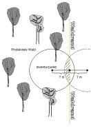 ffh-inventuranweisung