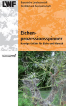 Titel des Faltblattes Eichenprozessionsspinner