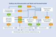 Diagramm mit Pfeilen