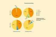 Vier Tortendiagramme, die Anzahl von Bäumen zeigen